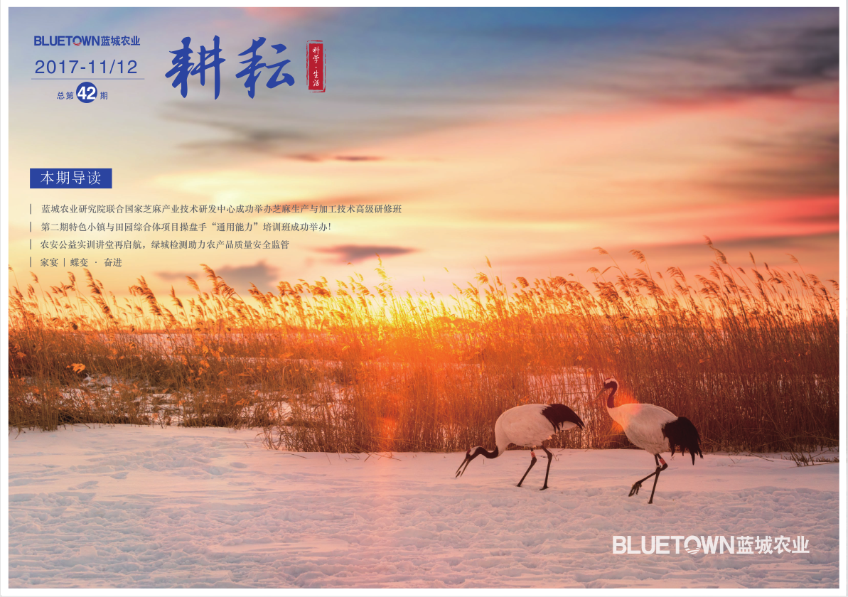 yp街机·电子游戏(中国)最新官网