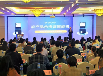 yp街机·电子游戏(中国)最新官网