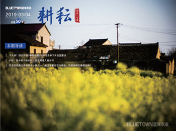 yp街机·电子游戏(中国)最新官网