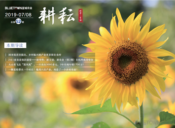 yp街机·电子游戏(中国)最新官网