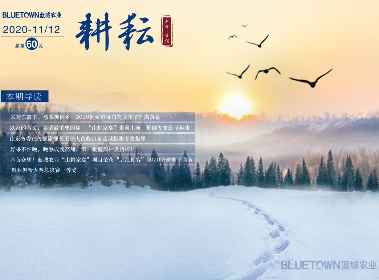 yp街机·电子游戏(中国)最新官网